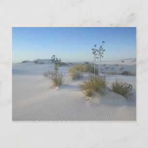 Postal Estados Unidos, Nuevo México, White Sands National