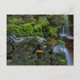 Postal Estados Unidos, Pennsylvania, Benton, Ricketts Gle