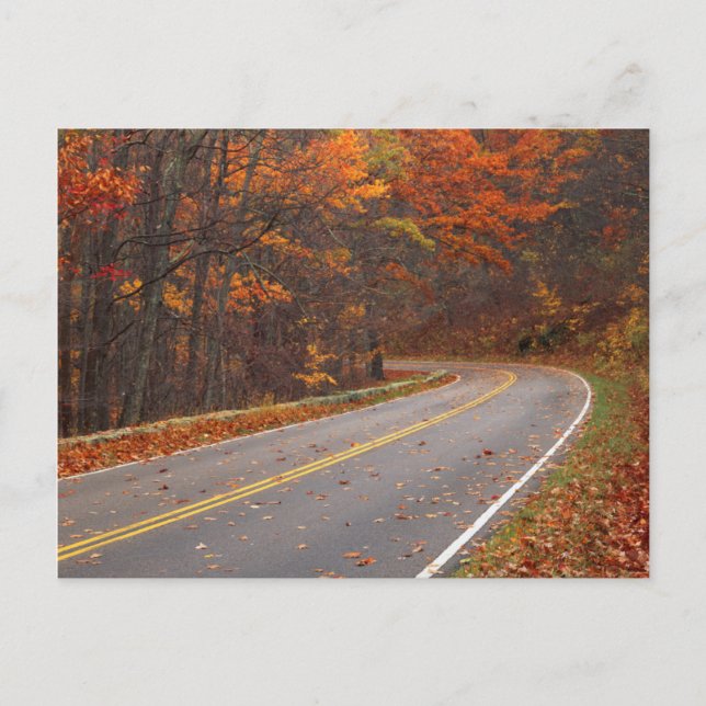 Postal Estados Unidos, Virginia, Parque Nacional Shenando (Anverso)