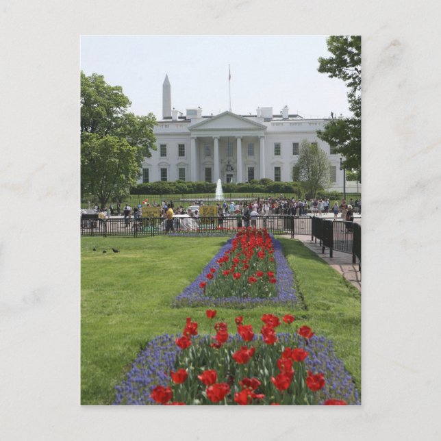 Postal Estados Unidos, Washington, C.C. El lado norte (Anverso)