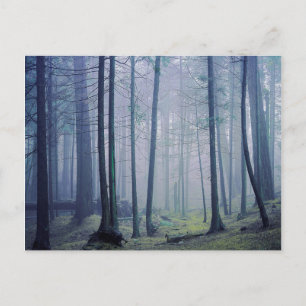 Postal Estados Unidos, Washington, Isla Orcas, Parque Est