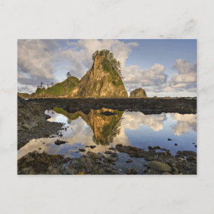 Postal Estados Unidos, Washington, Parque Nacional Olímpi