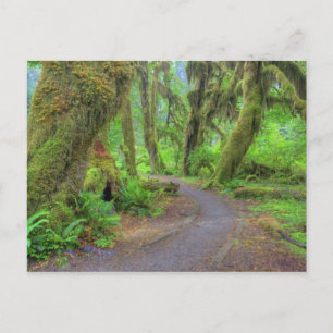 Postal Estados Unidos, Washington, Parque Nacional Olímpi