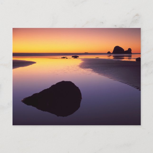 Postal Estados Unidos, Washington, Península Olímpica (Anverso)