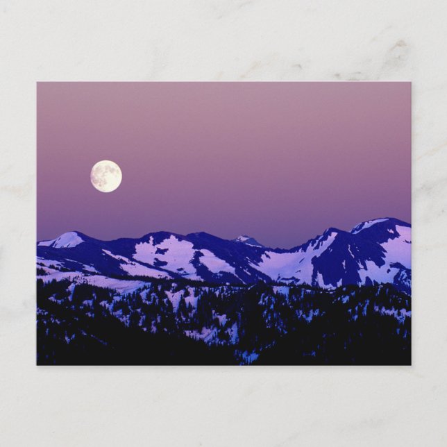 Postal Estados Unidos, Washington, Port Angeles, Olympic  (Anverso)