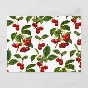 Postal Estampa Botánica de Cereza Rojo Intenso