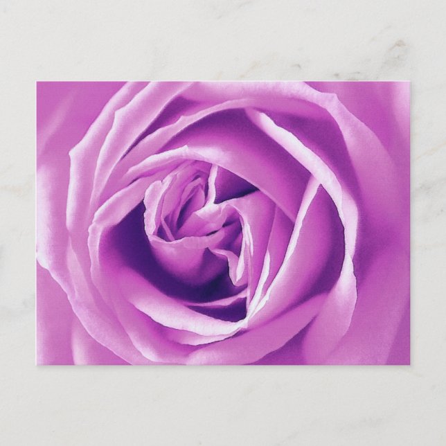 Postal Estampa de rosa lavanda (Anverso)