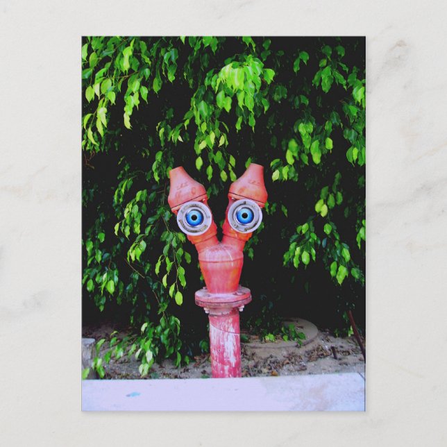 Postal Están aquí (Anverso)