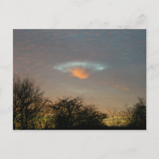 Postal ... ... ¡¡¡Están aquí!!!