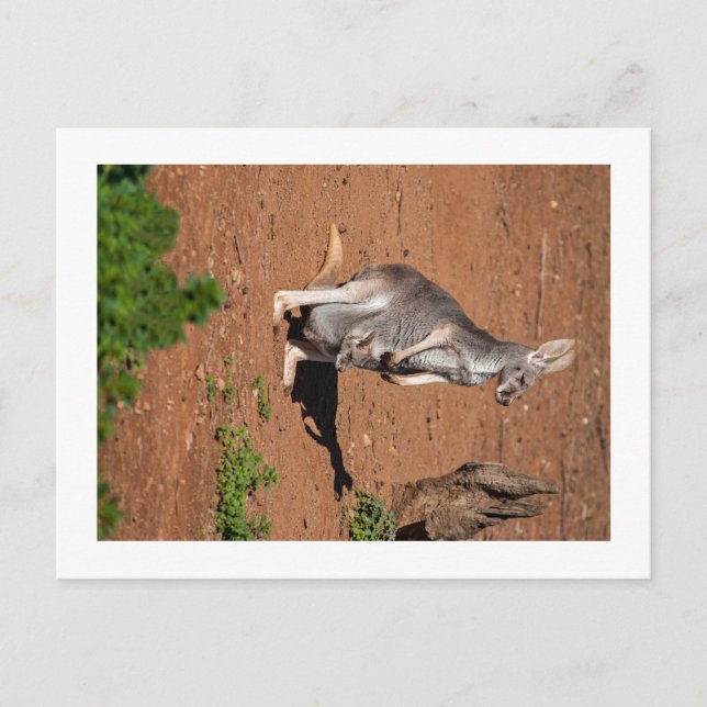 Postal estándar (Anverso)