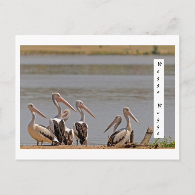 Postal estándar (Anverso)