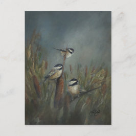 Postal Estanque de carbonero