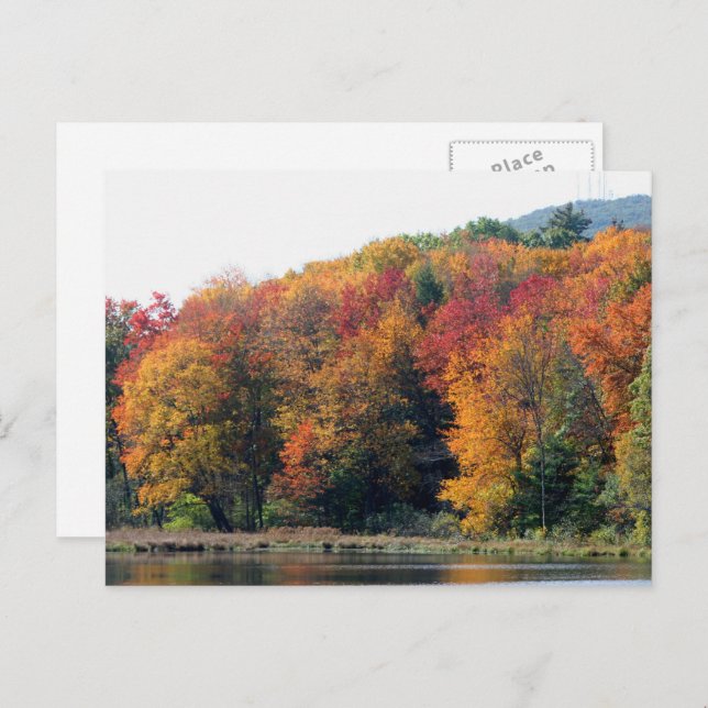 Postal Estanque de follaje de otoño personalizado (Anverso / Reverso)