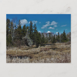 Postal Estanque de Isla Roja