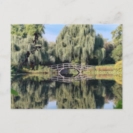 Postal Estanque de sauce de Amsterdam
