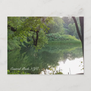 Postal Estanque de Tortugas en Central Park Nueva York en