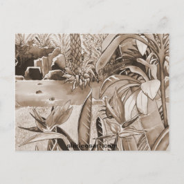 Postal Estanque en la plantación de piña