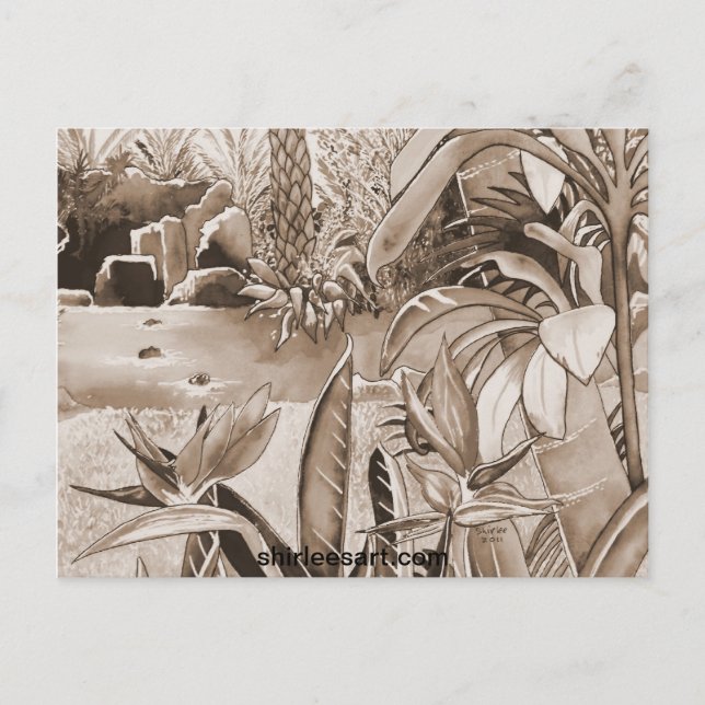 Postal Estanque en la plantación de piña (Anverso)