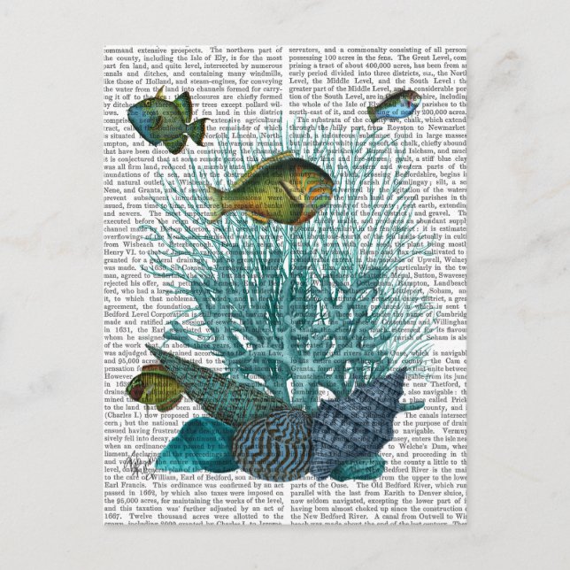 Postal Estanques azules y corales de peces (Anverso)