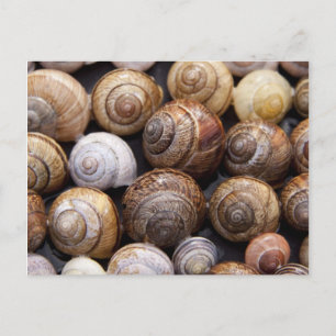 Postal Estanques de caracol