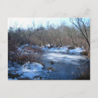 Estanques De Humedales En Invierno