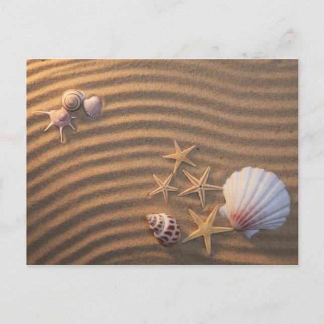 Postal Estanques De Mar Y Starfish (Anverso)