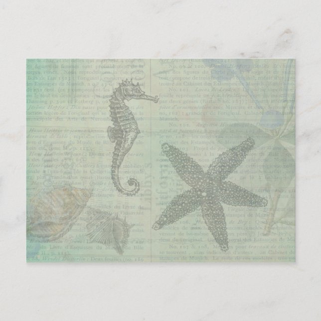 Postal Estanques, estepas y caballos de mar de época (Anverso)