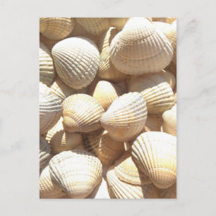 Postal Estanques tropicales soleados de mar exótico