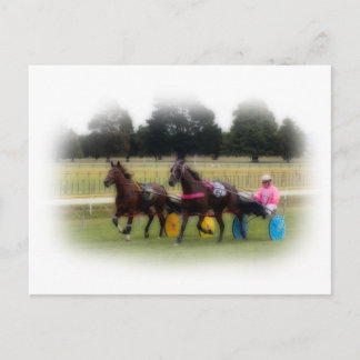 Postal Estantería en el hipódromo