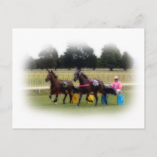 Postal Estantería en el hipódromo (Anverso)