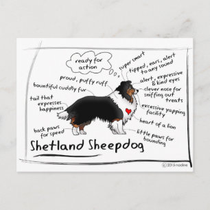 Postal Estantería trichuana negra