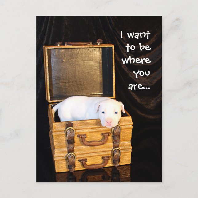 Postal Estar contigo... (Anverso)