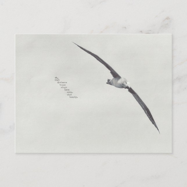 Postal "estas alas" (Anverso)