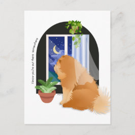 POSTAL ESTÁS ALLÍ FUERA DE ALGÚN SITIO.