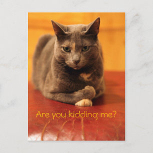 Postal ¿Estás bromeando?