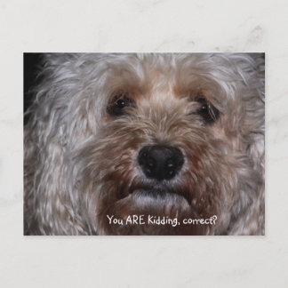 Postal ¿Estás bromeando, verdad?