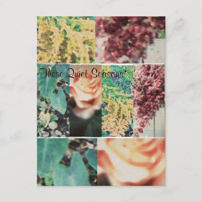 Postal Estas Temporadas Tranquilas Cuatro Estaciones (Anverso)