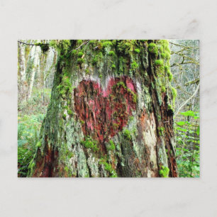 Postal estatal de Washington: Árbol de amor