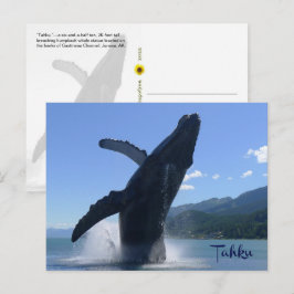 Postal Estatua de ballena jorobada en ruptura - "Tahku"