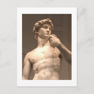 Postal Estatua de David Florence Postcard