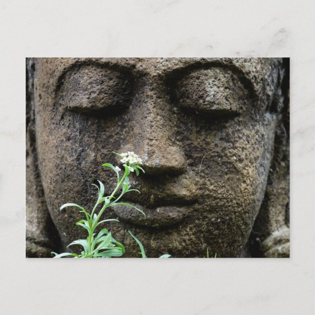 Postal Estatua de jardín de piedra con flor (Anverso)