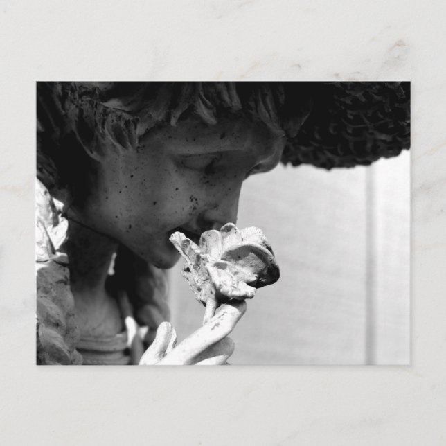 POSTAL ESTATUA DE UN ROSA (Anverso)