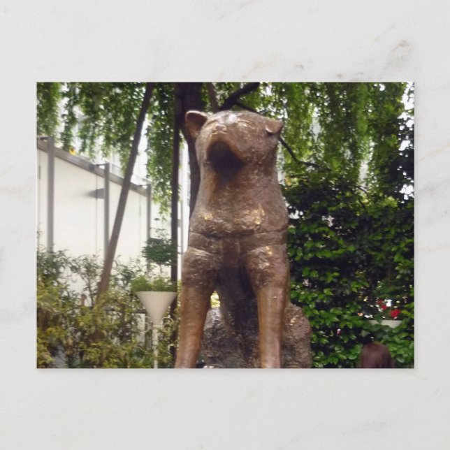 Postal estatua hachiko shibuya (Anverso)