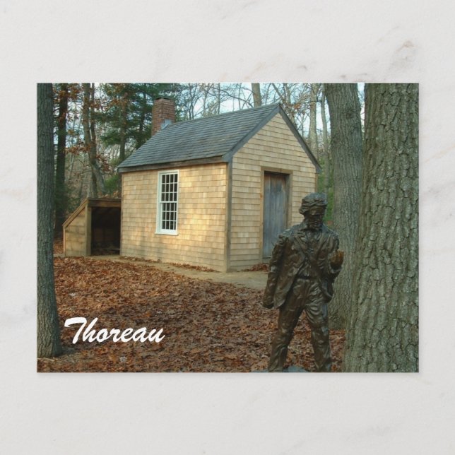 Postal Estatua y cabaña de Thoreau (Anverso)