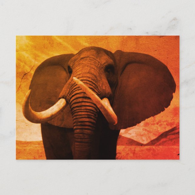 Postal Estatura majestuosa (Anverso)