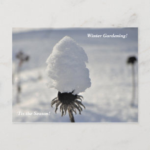 Postal 'Este es el Jardín de Invierno de temporada en vac