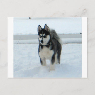 Postal Este es el problema