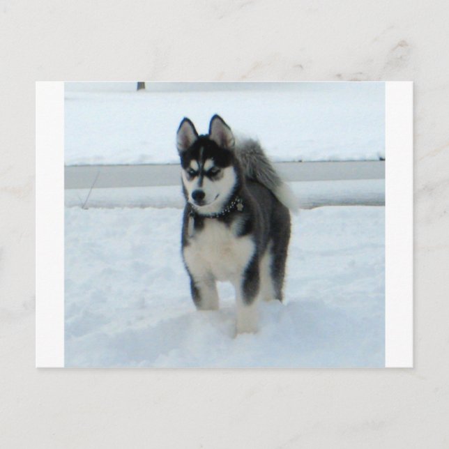 Postal Este es el problema (Anverso)