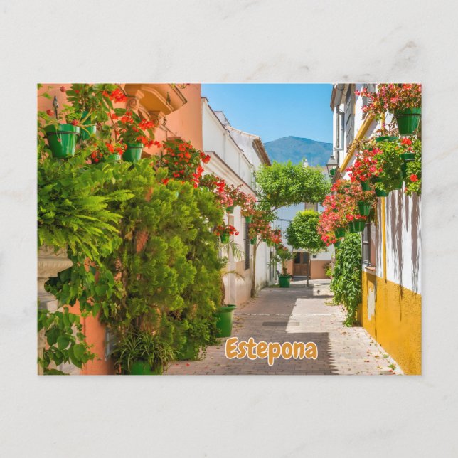 Postal  Estepona, Spain Charming Town in Malaga Street  (Anverso)