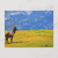 Estes Park Colorado
